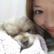 ヒメ日記 2025/12/07 01:12 投稿 白鷺さら ハールブルク