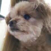 ヒメ日記 2025/12/09 06:07 投稿 白鷺さら ハールブルク