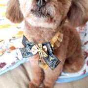 ヒメ日記 2025/12/23 02:24 投稿 白鷺さら ハールブルク