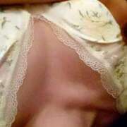 ヒメ日記 2025/12/23 15:37 投稿 白鷺さら ハールブルク