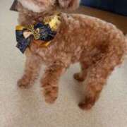 ヒメ日記 2025/12/24 10:24 投稿 白鷺さら ハールブルク