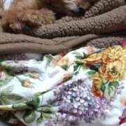 ヒメ日記 2026/01/05 05:06 投稿 白鷺さら ハールブルク