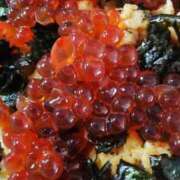 ヒメ日記 2026/01/08 03:16 投稿 白鷺さら ハールブルク