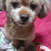 ヒメ日記 2026/01/12 05:11 投稿 白鷺さら ハールブルク