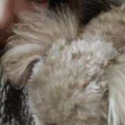 ヒメ日記 2026/01/18 07:11 投稿 白鷺さら ハールブルク