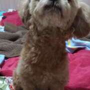 ヒメ日記 2026/01/20 05:59 投稿 白鷺さら ハールブルク