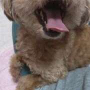 ヒメ日記 2026/02/03 10:54 投稿 白鷺さら ハールブルク