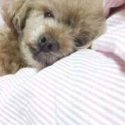 ヒメ日記 2026/02/05 05:55 投稿 白鷺さら ハールブルク