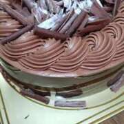 ヒメ日記 2026/02/22 06:24 投稿 白鷺さら ハールブルク