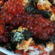 ヒメ日記 2026/03/12 05:35 投稿 白鷺さら ハールブルク