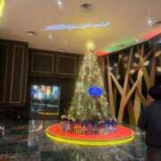 新田　咲希 はやいなぁ タッチVIP