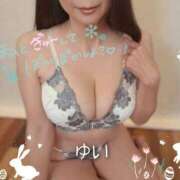 ヒメ日記 2025/12/31 08:47 投稿 桐島 ゆい SUMIRE