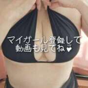 ヒメ日記 2026/01/24 08:19 投稿 桐島 ゆい SUMIRE