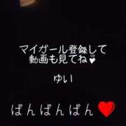 ヒメ日記 2026/01/28 08:54 投稿 桐島 ゆい SUMIRE