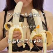 ヒメ日記 2026/02/12 08:48 投稿 桐島 ゆい SUMIRE