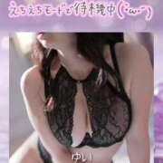 ヒメ日記 2026/02/14 14:46 投稿 桐島 ゆい SUMIRE