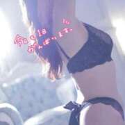 ヒメ日記 2026/02/15 08:35 投稿 桐島 ゆい SUMIRE