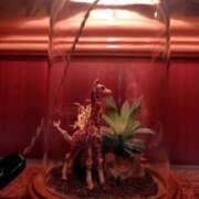 新人みずほ 🎀お疲れ様です🎀 出逢い