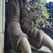 新人みずほ 🎀お礼🎀 出逢い