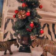 ヒメ日記 2025/12/13 22:57 投稿 新人みずほ 出逢い