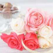 ヒメ日記 2025/10/24 16:20 投稿 秋山 もみじ こあくまな熟女たち三河店（KOAKUMAグループ）