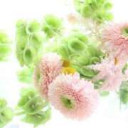 ヒメ日記 2026/04/03 17:14 投稿 秋山 もみじ こあくまな熟女たち三河店（KOAKUMAグループ）