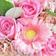 ヒメ日記 2026/04/13 15:00 投稿 秋山 もみじ こあくまな熟女たち三河店（KOAKUMAグループ）