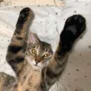 ヒメ日記 2026/02/26 15:53 投稿 ゆうみ 五反田人妻ヒットパレード（シンデレラグループ）