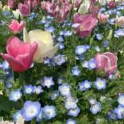 ヒメ日記 2025/10/16 15:17 投稿 みなみ ごほうびSPA京都店