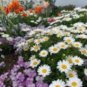 ヒメ日記 2025/10/20 13:38 投稿 みなみ ごほうびSPA京都店