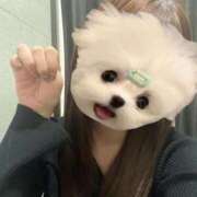 ヒメ日記 2025/11/07 12:58 投稿 みなみ ごほうびSPA京都店