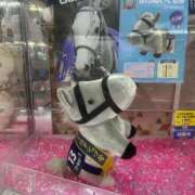 ヒメ日記 2025/12/29 00:55 投稿 ひいろ♪ プリティーガール