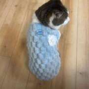 ヒメ日記 2026/03/22 06:25 投稿 ひいろ♪ プリティーガール