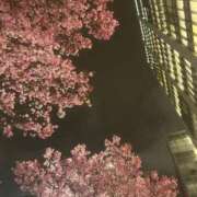 ヒメ日記 2026/03/27 21:25 投稿 ひいろ♪ プリティーガール