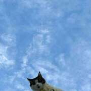 ヒメ日記 2026/04/17 08:04 投稿 ひいろ♪ プリティーガール