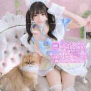 ヒメ日記 2026/09/03 12:46 投稿 ひいろ♪ プリティーガール