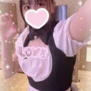 ヒメ日記 2025/11/22 10:00 投稿 せいか ピンキーエコ