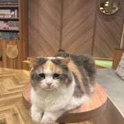 ヒメ日記 2025/11/19 21:27 投稿 かのん 奴隷コレクション梅田店