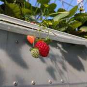 ヒメ日記 2026/02/13 13:14 投稿 ののか 仙南 愛ランド（白石、柴田、岩沼、名取）