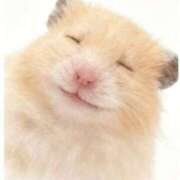 ヒメ日記 2025/12/12 03:06 投稿 ももんが イクイクサークル鶯谷店