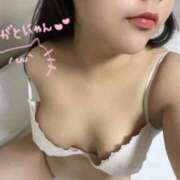 けい お礼☆彡 愛知弥富ちゃんこ