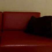 ヒメ日記 2025/10/11 23:15 投稿 そのこ 奥鉄オクテツ東京店（デリヘル市場）