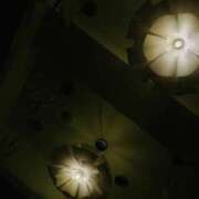 ヒメ日記 2025/10/15 23:15 投稿 そのこ 奥鉄オクテツ東京店（デリヘル市場）