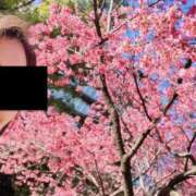 ヒメ日記 2026/03/08 10:10 投稿 そのこ 奥鉄オクテツ東京店（デリヘル市場）