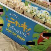 ヒメ日記 2026/08/07 22:30 投稿 そのこ 奥鉄オクテツ東京店（デリヘル市場）