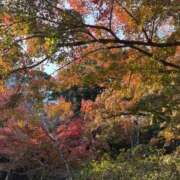 ♡モモ♡ 休日🍁 ラブ♡エル