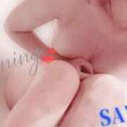 ヒメ日記 2025/10/19 09:22 投稿 彩風　さより【奥様】 isai～愛妻