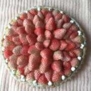 ヒメ日記 2025/11/20 09:58 投稿 倉田(くらた) 熟女出逢い会『百合の園』目黒店