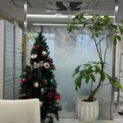 ヒメ日記 2025/12/07 16:48 投稿 倉田(くらた) 熟女出逢い会『百合の園』目黒店