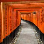 ヒメ日記 2025/12/09 13:53 投稿 倉田(くらた) 熟女出逢い会『百合の園』目黒店